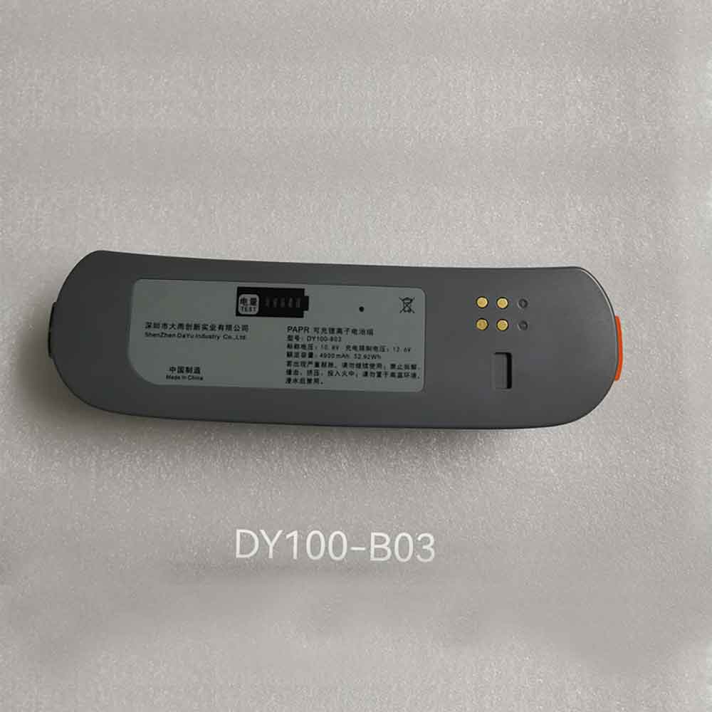 DY100-B03 batería
