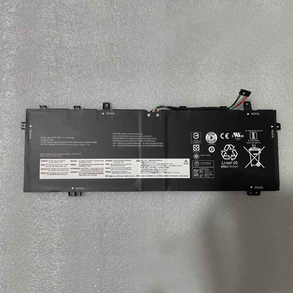 L19C4PG0 batería