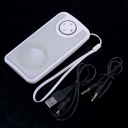 Mini Portable Speaker FM USB Disk SD MMC Music Player