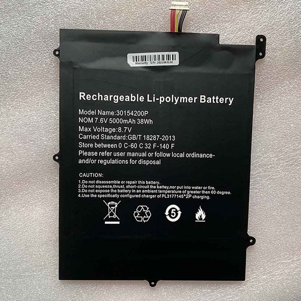 30154200P batería